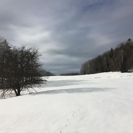 Pokoje Goscinne Vida Krynica-Zdrój Exteriör bild