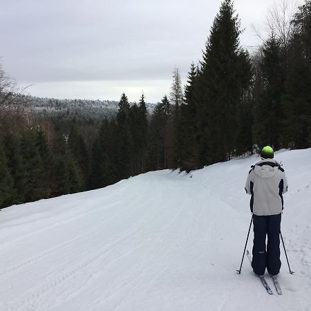 Pokoje Goscinne Vida Krynica-Zdrój Exteriör bild
