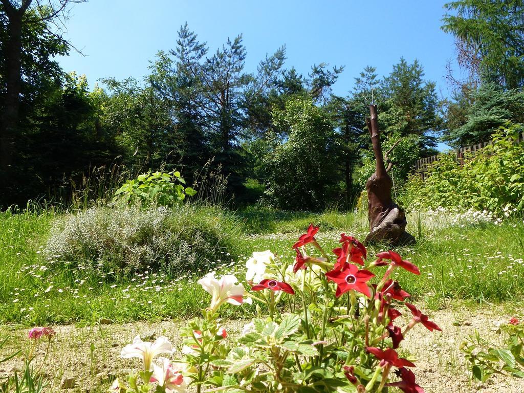 Pokoje Goscinne Vida Krynica-Zdrój Exteriör bild