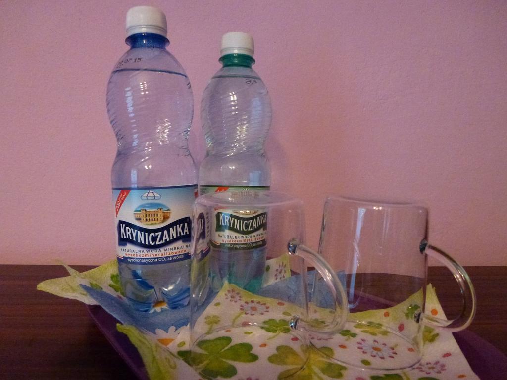 Pokoje Goscinne Vida Krynica-Zdrój Rum bild