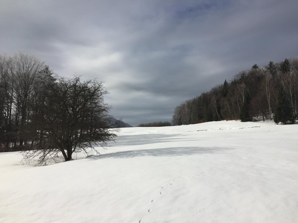 Pokoje Goscinne Vida Krynica-Zdrój Exteriör bild