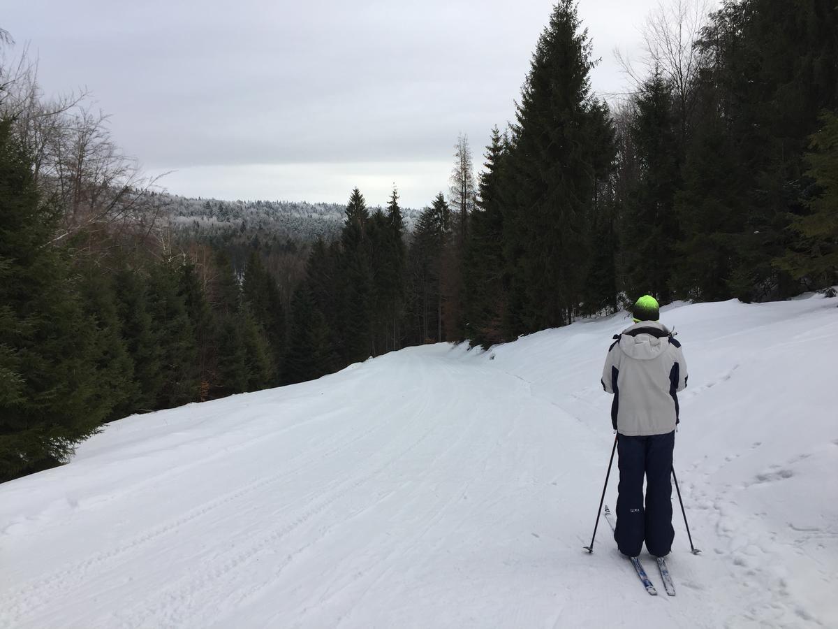 Pokoje Goscinne Vida Krynica-Zdrój Exteriör bild