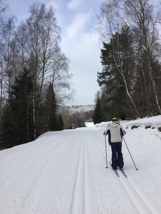 Pokoje Goscinne Vida Krynica-Zdrój Exteriör bild